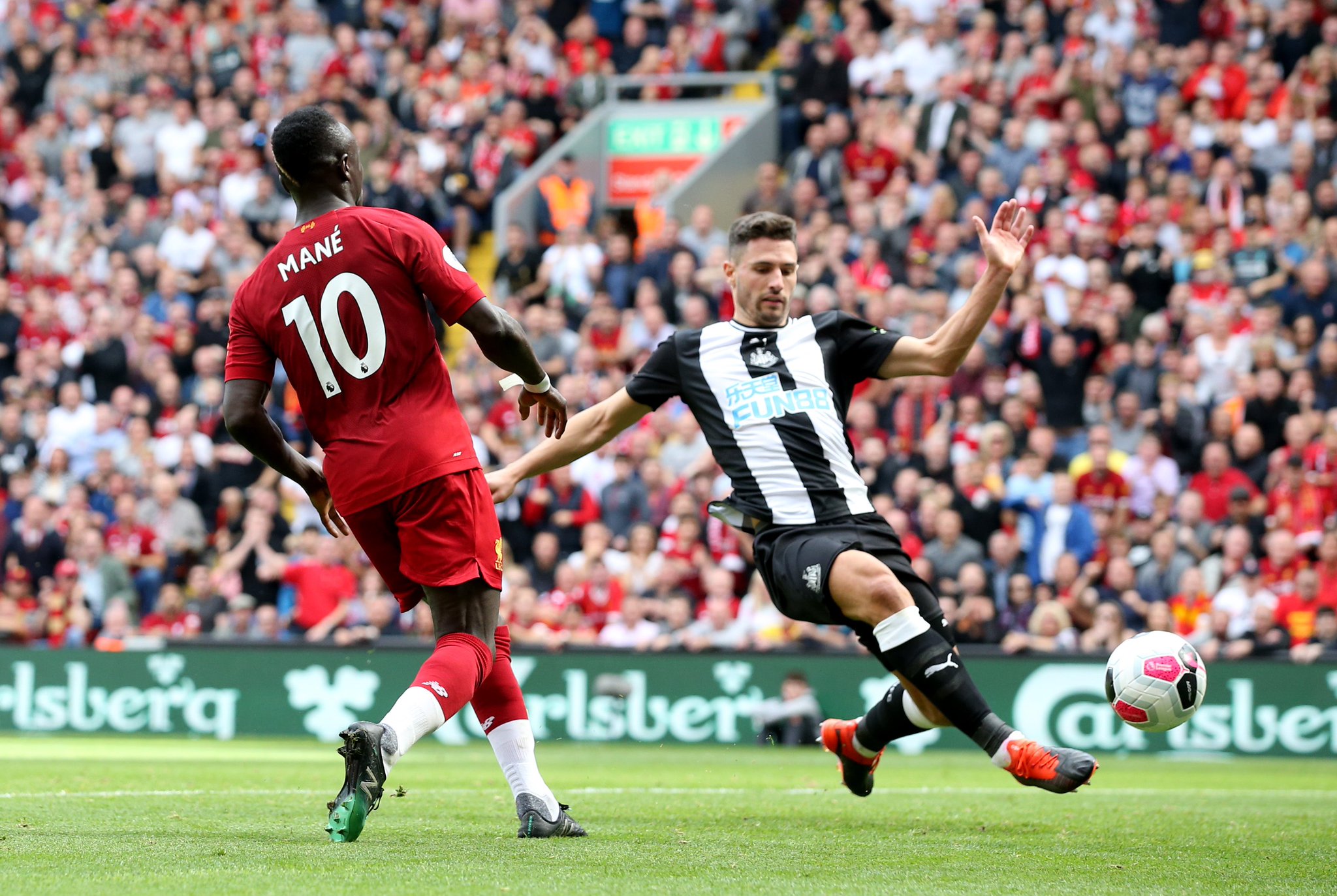 来的发展树 来的发展树